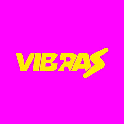 VibraS - Programma